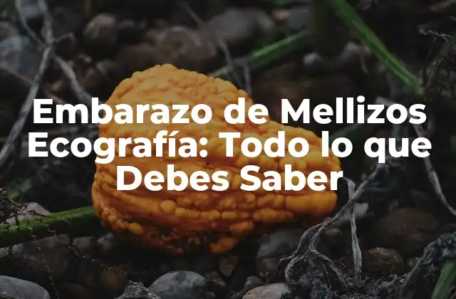 Embarazo de Mellizos Ecografía: Todo Lo que Debes Saber