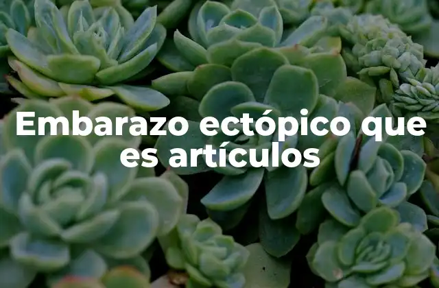 Embarazo Ectópico que es Artículos