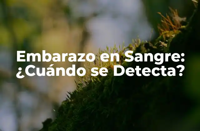 Embarazo en Sangre: ¿cuándo Se Detecta?