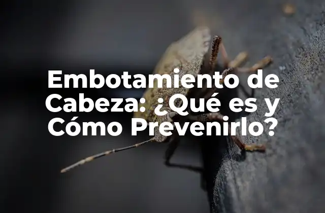 Embotamiento de Cabeza: ¿qué es y Cómo Prevenirlo? 2 Causas del Embotamiento de Cabeza