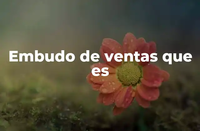 Embudo de Ventas que es