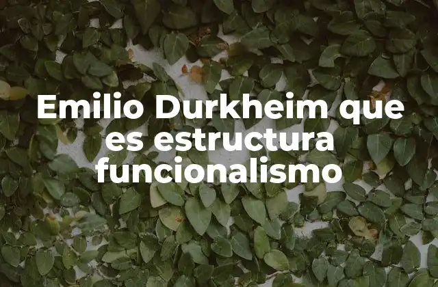 Emilio Durkheim que es Estructura Funcionalismo