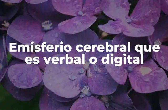 Emisferio Cerebral que es Verbal o Digital