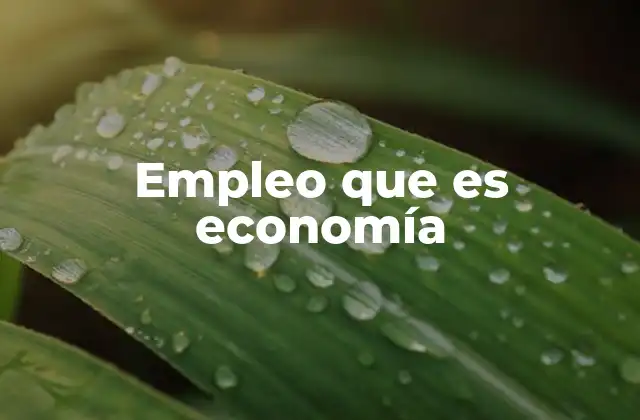 El empleo como pilar de la estabilidad económica