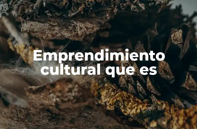 Emprendimiento Cultural que es