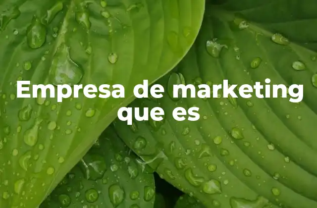 Empresa de Marketing que es