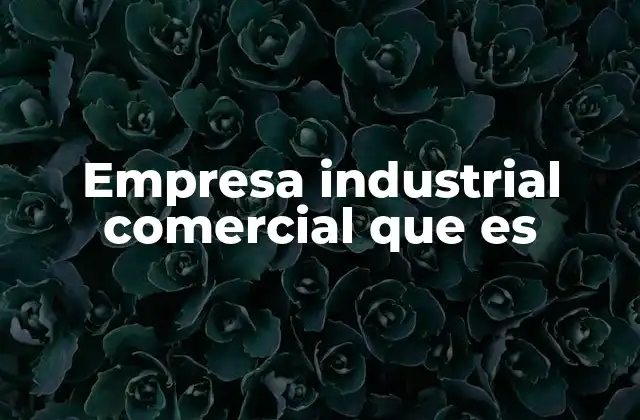 Empresa Industrial Comercial que es