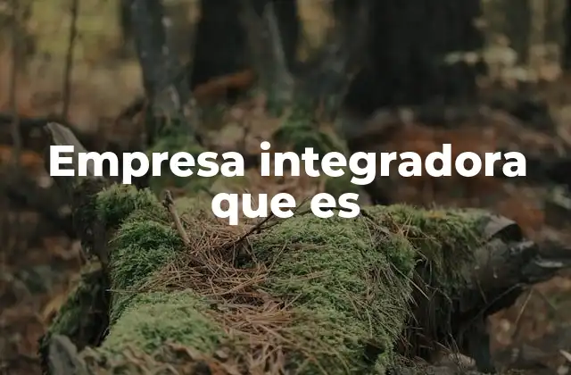 Empresa Integradora que es