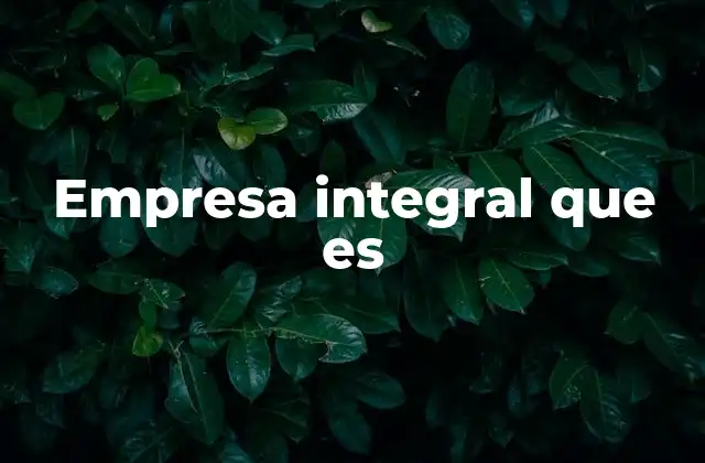 Empresa Integral que es