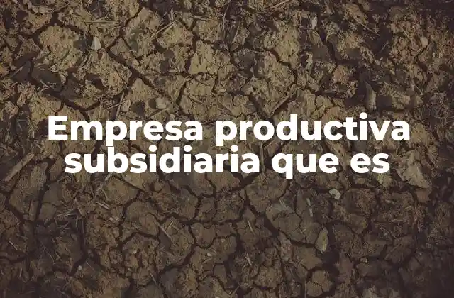 Empresa Productiva Subsidiaria que es