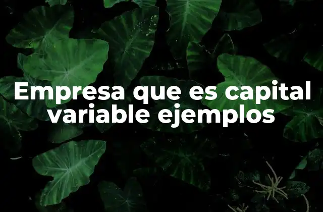 Empresa que es Capital Variable Ejemplos