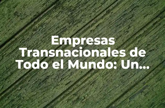 Empresas Transnacionales de Todo el Mundo: un Análisis Detallado