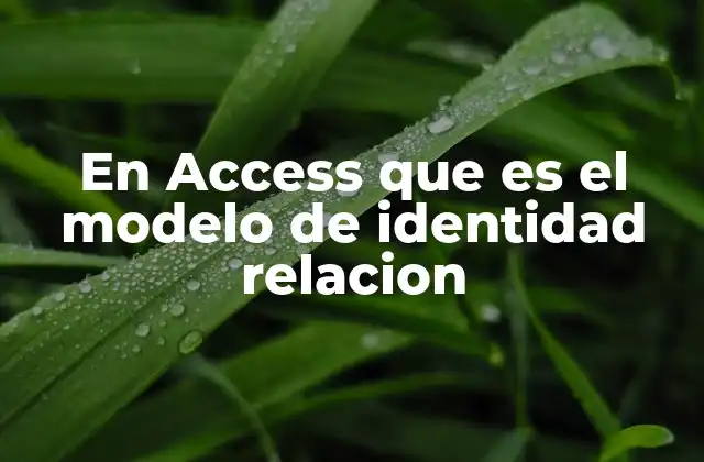 En Access que es el Modelo de Identidad Relacion 2 Cómo se establecen las relaciones entre tablas en Access