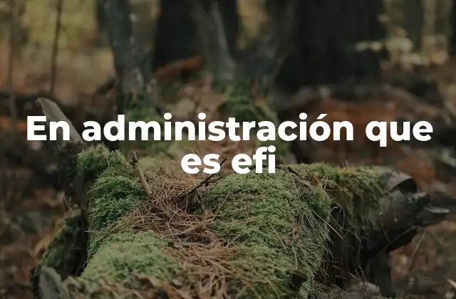 En Administración que es Efi