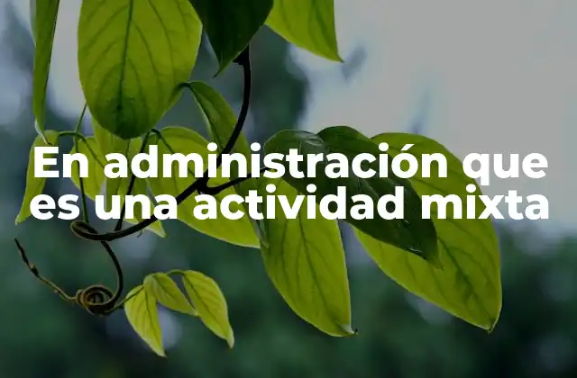 En Administración que es una Actividad Mixta
