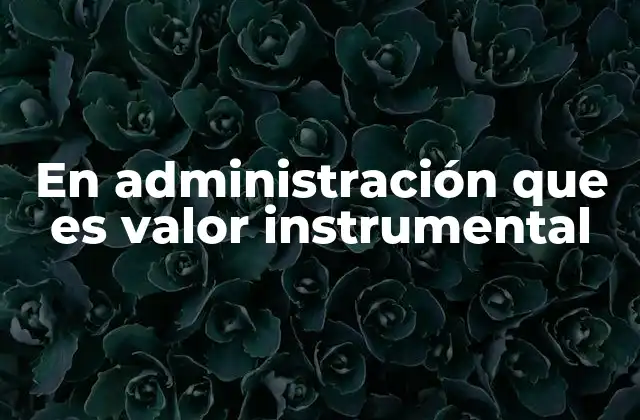 En Administración que es Valor Instrumental