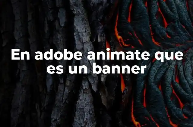 En Adobe Animate que es un Banner