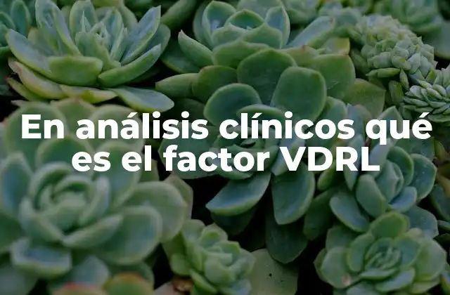 En Análisis Clínicos Qué es el Factor Vdrl