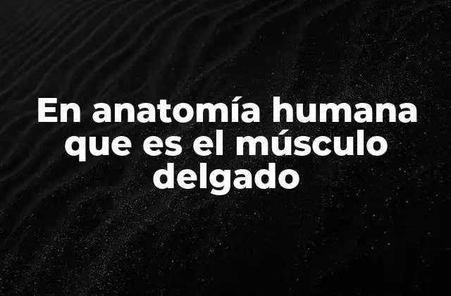 La importancia de los músculos delgados en la movilidad corporal