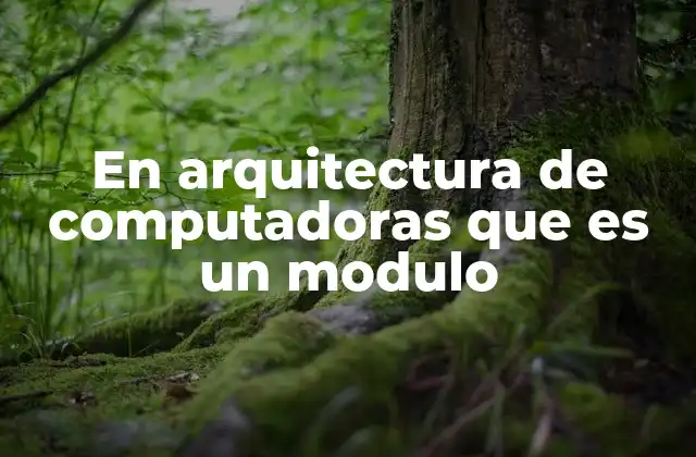 En Arquitectura de Computadoras que es un Modulo