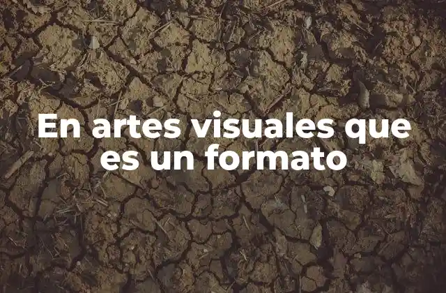 En Artes Visuales que es un Formato