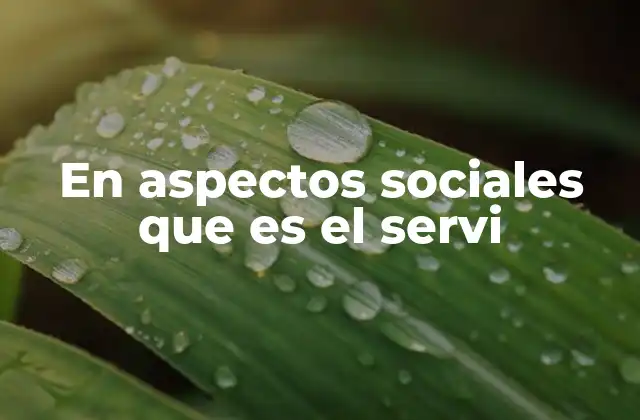 En Aspectos Sociales que es el Servi