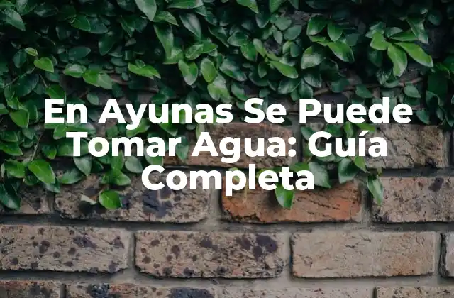 En Ayunas Se Puede Tomar Agua: Guía Completa