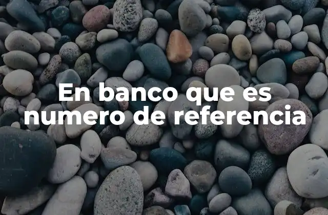 En Banco que es Numero de Referencia