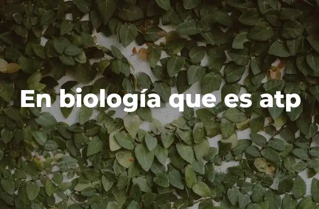 En Biología que es Atp