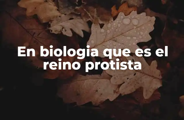 En Biologia que es el Reino Protista