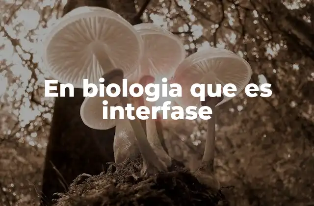 En Biologia que es Interfase