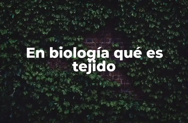 En Biología Qué es Tejido