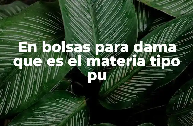 En Bolsas para Dama que es el Materia Tipo Pu 2 Características del material tipo PU en bolsas femeninas