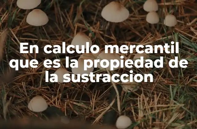 En Calculo Mercantil que es la Propiedad de la Sustraccion