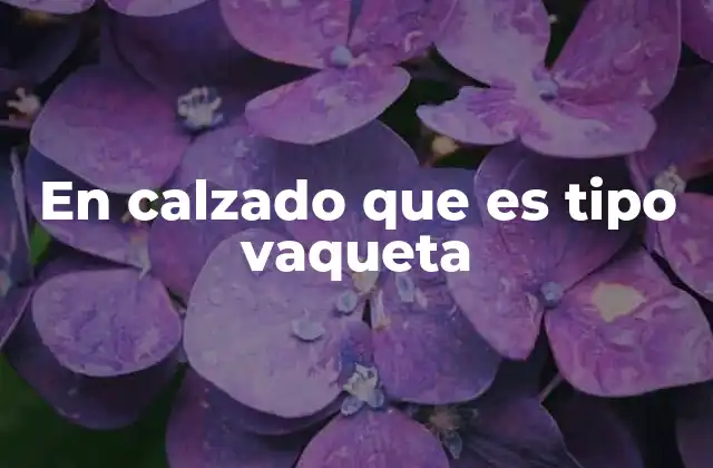 En Calzado que es Tipo Vaqueta