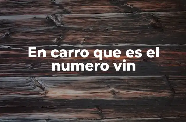 En Carro que es el Numero Vin