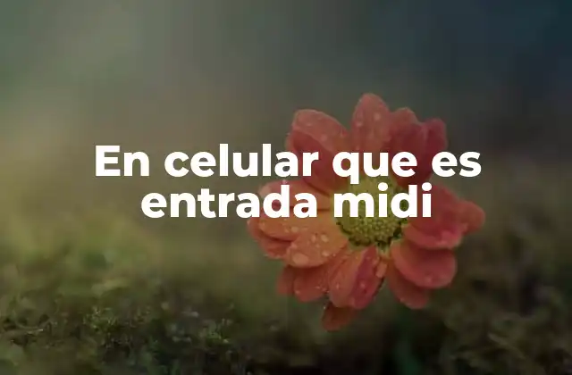 En Celular que es Entrada Midi