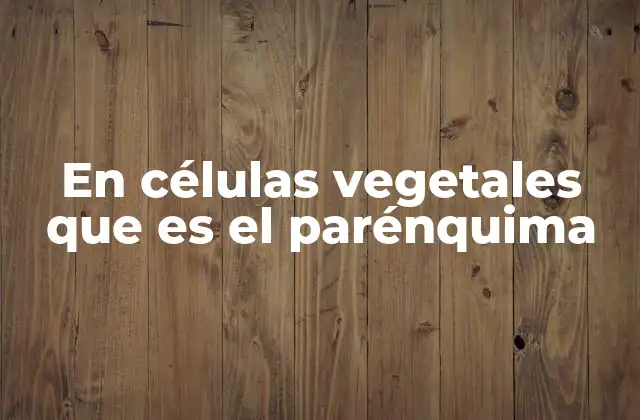 En Células Vegetales que es el Parénquima