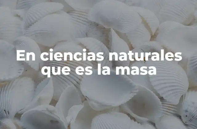 En Ciencias Naturales que es la Masa