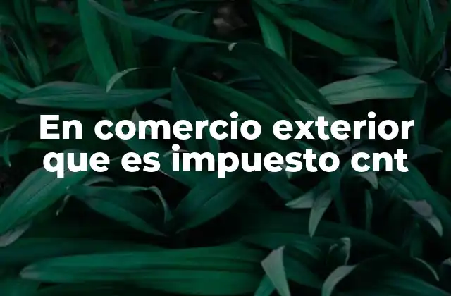 En Comercio Exterior que es Impuesto Cnt 2 La relevancia del impuesto CNT en el flujo de mercancías