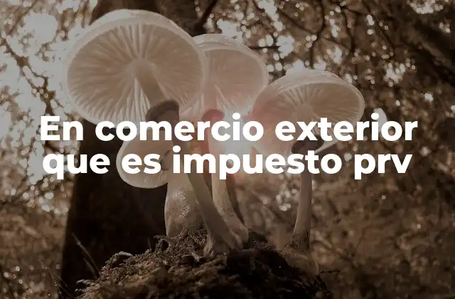 En Comercio Exterior que es Impuesto Prv