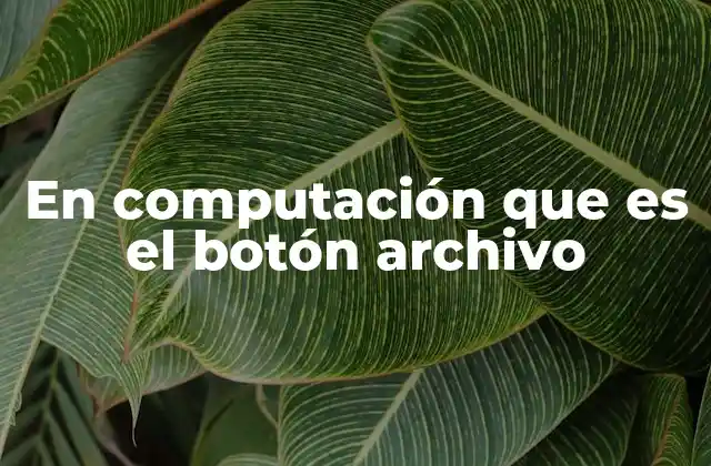 En Computación que es el Botón Archivo