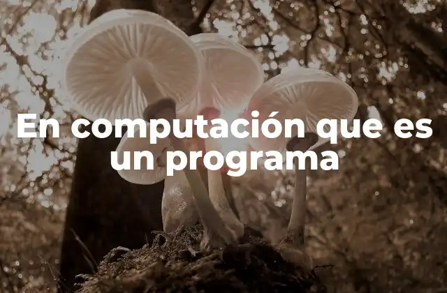 En Computación que es un Programa