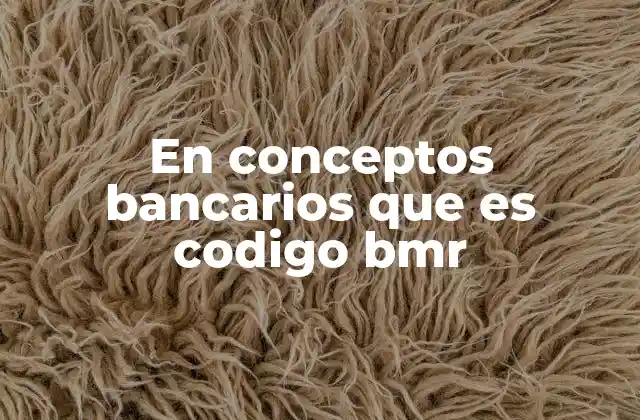 En Conceptos Bancarios que es Codigo Bmr