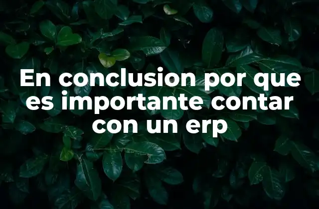 En Conclusion por que es Importante Contar con un Erp