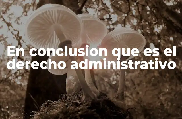 En Conclusion que es el Derecho Administrativo