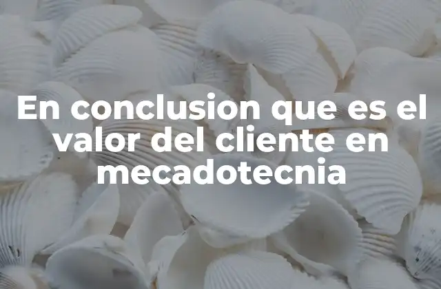 En Conclusion que es el Valor Del Cliente en Mecadotecnia