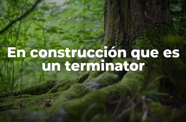 En Construcción que es un Terminator