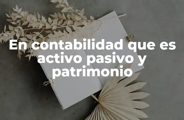 En Contabilidad que es Activo Pasivo y Patrimonio