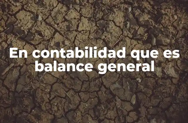 La importancia del balance general en el manejo financiero empresarial